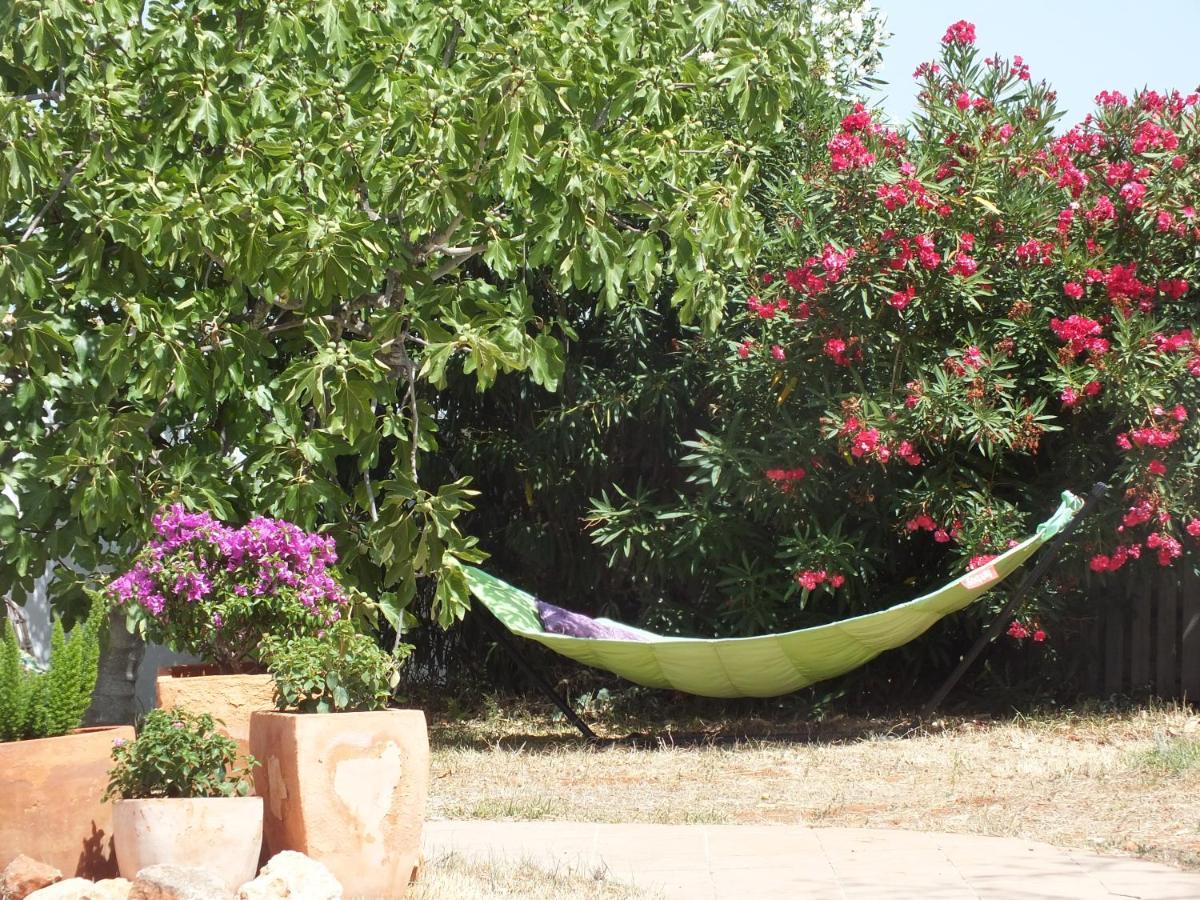 Bed and Breakfast Buena Idea - Adults Only Jalón Esterno foto